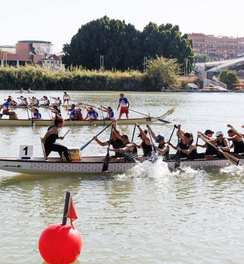 09 Regata
