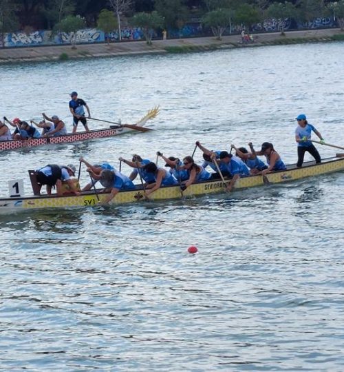 Regata-competicion-1.jpeg